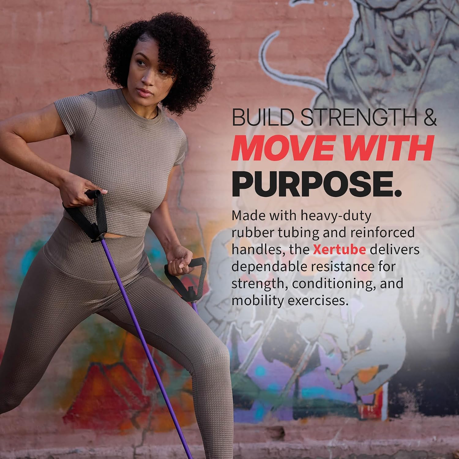 SPRI Xertube Resistance Bands with Handles – All Exercise Cords Sold Separately with Home Gym Workout Fitness Door Anchor Attachment Option Medium No Door Attachment